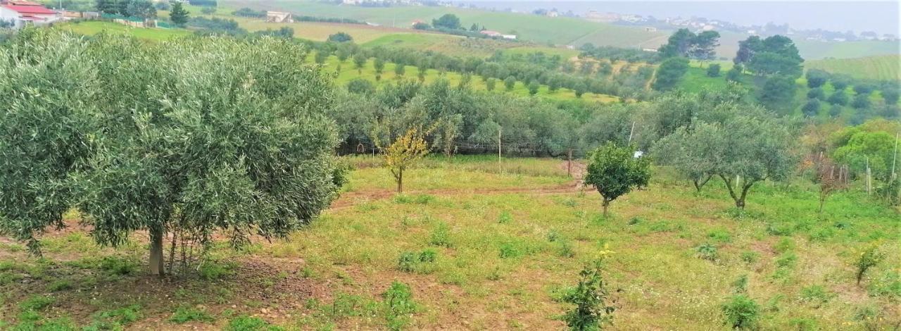 Brezza Tra Gli Alberi Alcamo Exterior foto